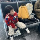 행신도서관 화장실 | 아이 둘이랑 KTX 타고 서울-대구 1박2일 여행, 엄마 혼자 아이 둘 데리고 가기 | 10개월, 41개월 아들...