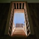 스테이해모루 이미지