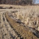 매수1리마을회관 이미지