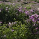 향우목장 이미지