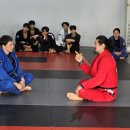 라이온 체육관 이미지