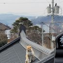 구 영주역 7호 관사 이미지