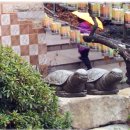 성암사 - 1619 | 성암사