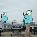 스콜라유치원 이미지