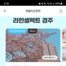 라한셀렉트 경주 3일 79% 할인 특가 🌟 이미지