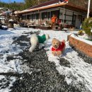 The 마실 이미지