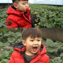 태오농장 이미지