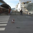 녹동신항여객선터미널 이미지