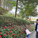 용인농촌테마파크 종합체험관 | 용인에서 산책할 곳을 찾는다면? 예쁜 꽃을 계절별로 다양하게 볼 수 있는 용인농촌테마파크 내돈내산