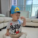 우준 | 95. 🏥신도시 이진 병원 입원 후기