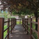 수봉공원(인공폭포앞) 이미지