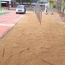 대구새론초등학교 이미지