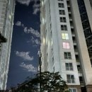 댕댕이 간식창고 이미지