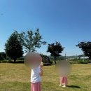 충남 보령 우유창고 체험장 후기｜아이와 주말 나들이, 먹이주기 체험·카페·인생샷 명소
