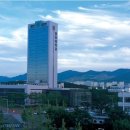 영남대학교 이미지