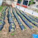 한봉경로당 이미지