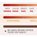 동대문엽기떡볶이 (지산점) 이미지