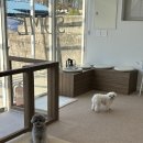 윈썸그루밍 이미지