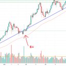 [기초공부]추세선 기초부터 알고가자 이미지