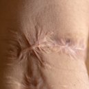 에코한의원 이미지