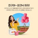 딜리버리피크닉 네이버블로그