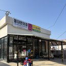 차가미소짓는곳 | 함께 즐긴 N7카트 후기 안전해서 더 만족한 포항여행...여행 포항 아이와 갈만한 곳 포항 호미곶 포항...