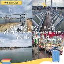 서해꽃게 | 충남 태안 - 태안 드르니항 꽃게 다리에서 만나는 서해의 낭만, 꽃게 다리 방문 후기