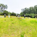 이인현선생묘 이미지