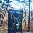 망경대산자연휴양림 이미지