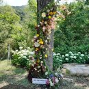 수안영농조합법인 이미지