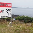마녀의언덕 이미지