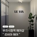 부천농업협동조합 | ( 경기, 부천 ) 르비아 헤어 내돈내산 후기.. 뿌리탈색 후기