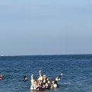 금메달고기짬뽕 | 행복 9월 ☆ જ⁀➴