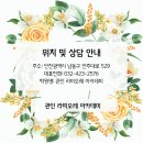 라피오레아카데미학원