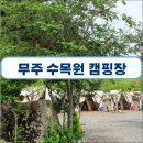 무주수목원캠핑장&글램핑 이미지