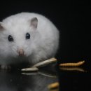 (주)케이지환경 이미지