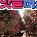 이호농원