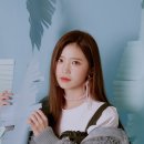 나인스타레코드 이미지