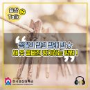 금강세탁 이미지