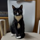 용두휴게소 | 2025/10/8~10/9 전남 순천-구례