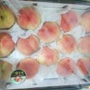 유나네농원 이미지