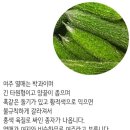 강화섬식품