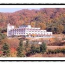 둔내유스호스텔 수영장 이미지