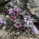 문산1리 이미지