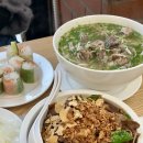 운중로146번길 양방향 | 판교 운중동 맛집 포레스트오늘숲 서판교점 가성비 좋은 쌀국수 찐맛집 추천!