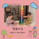 자연과창의성(주) | 자연과 함께하는 감각 놀이 정토이즈 마블트리 웨이투플레이