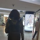 영도구푸드뱅크 | 4월15 부산나들이 /대저생태공원/영도베이하운드호텔