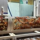 노원-상계-2066 이미지