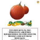 천상과일