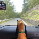 형제농원민박 | 🚘부산근교 취사 가능한 양산 무지개폭포(마음휴양농원)